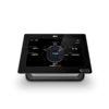 Raymarine